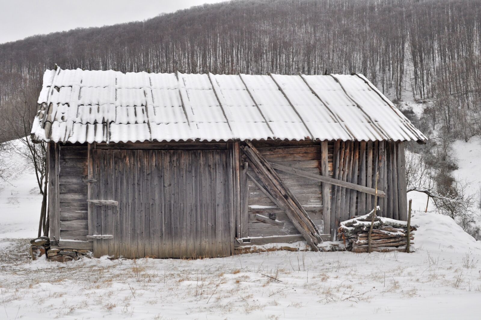 Nikon D90 sample photo. Snow, hut, barn photography