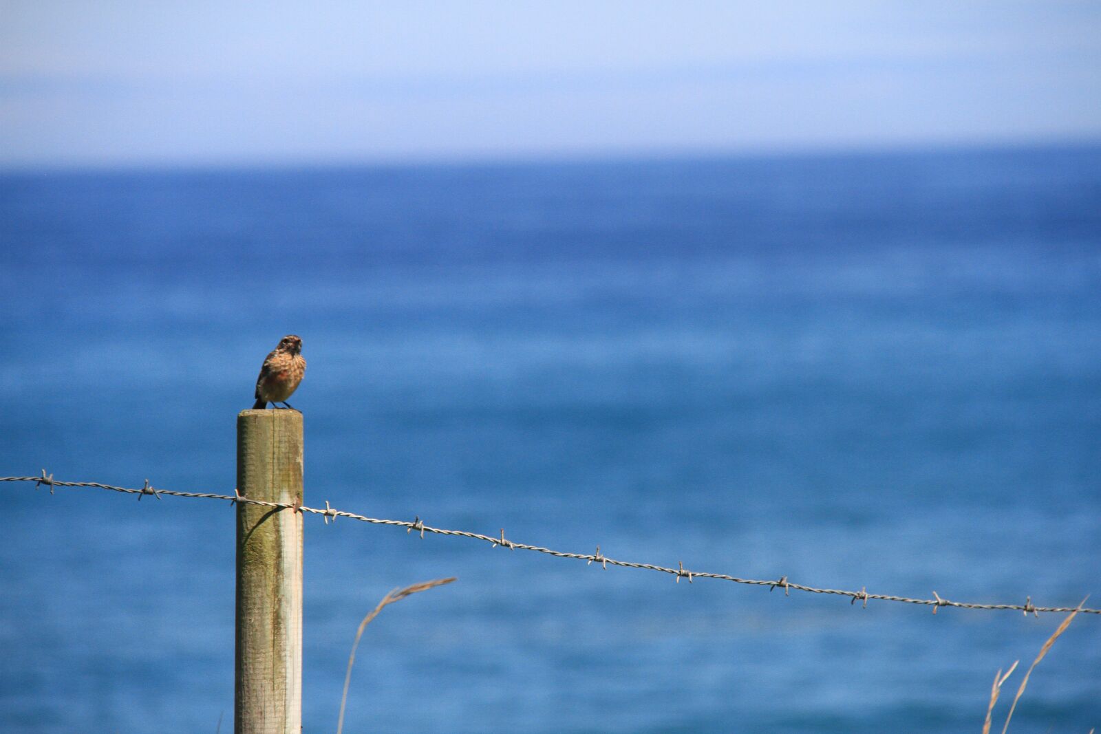 Canon EOS 7D sample photo. Sea, ernesto castillo, nature photography