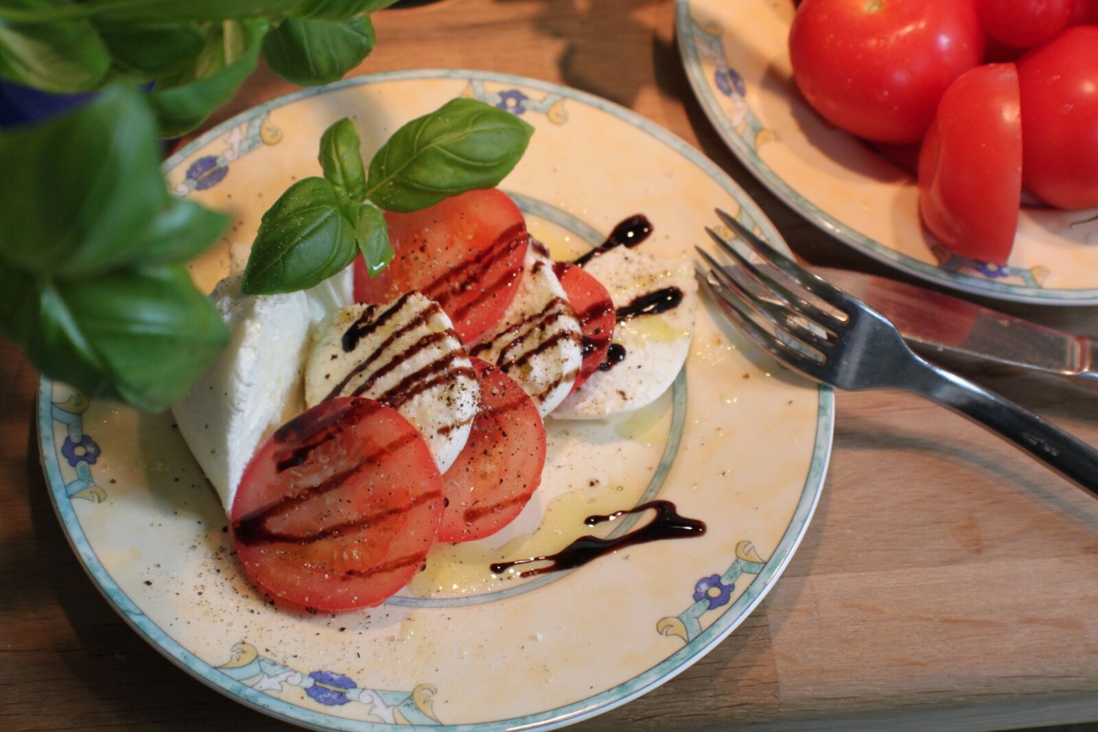 Canon EOS 500D (EOS Rebel T1i / EOS Kiss X3) sample photo. Mozzarella, tomato, basil photography