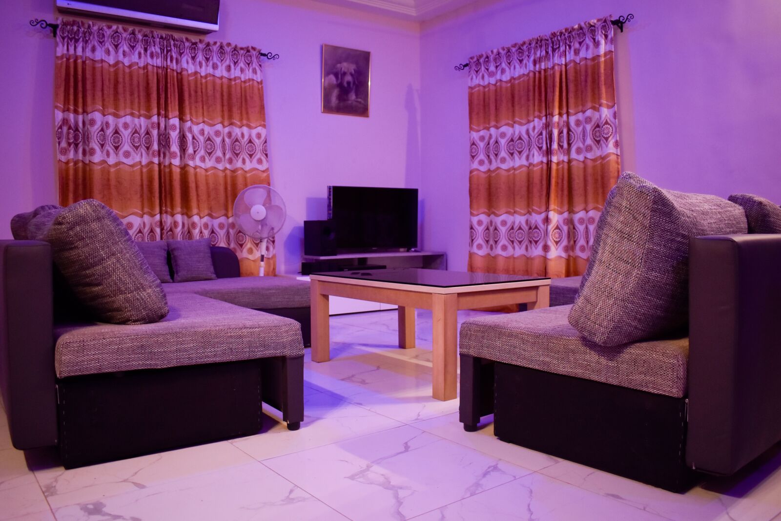 Nikon D5600 sample photo. Has, rent, the photography