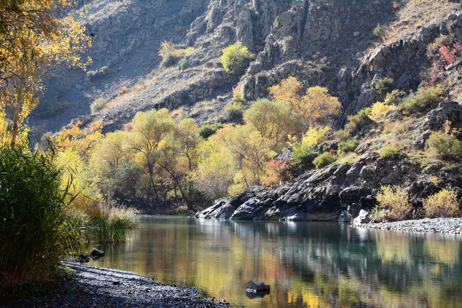 Nikon D7100 sample photo. Coruh river, river, streaming photography