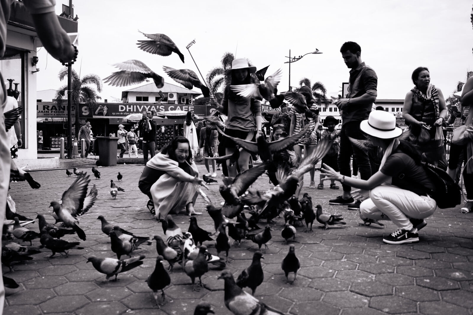 Canon EF-S 18-55mm F3.5-5.6 IS sample photo. Pigeons - kuala lumpur photography