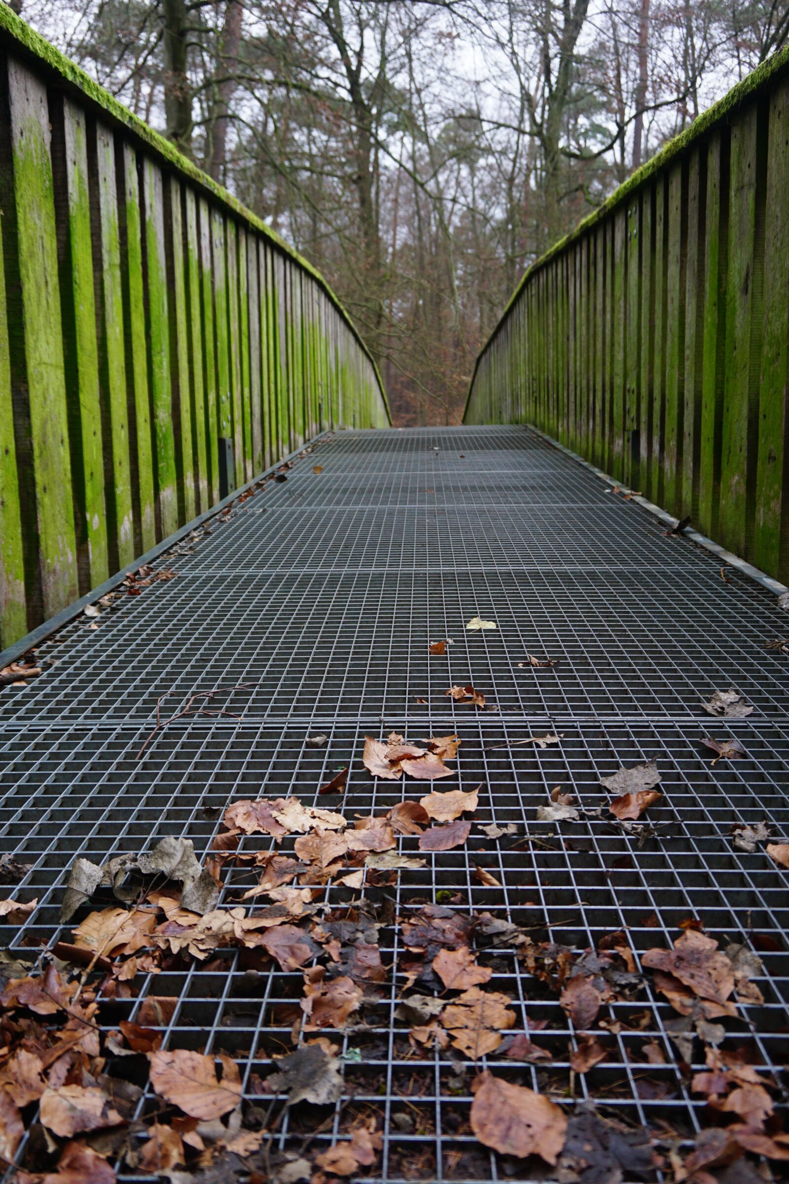Sony E 16-50mm F3.5-5.6 PZ OSS sample photo. Bridge, wood, nature photography