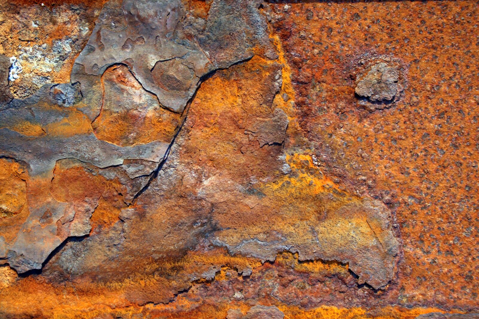 Canon EOS 400D (EOS Digital Rebel XTi / EOS Kiss Digital X) sample photo. Rust, metal, rusted photography