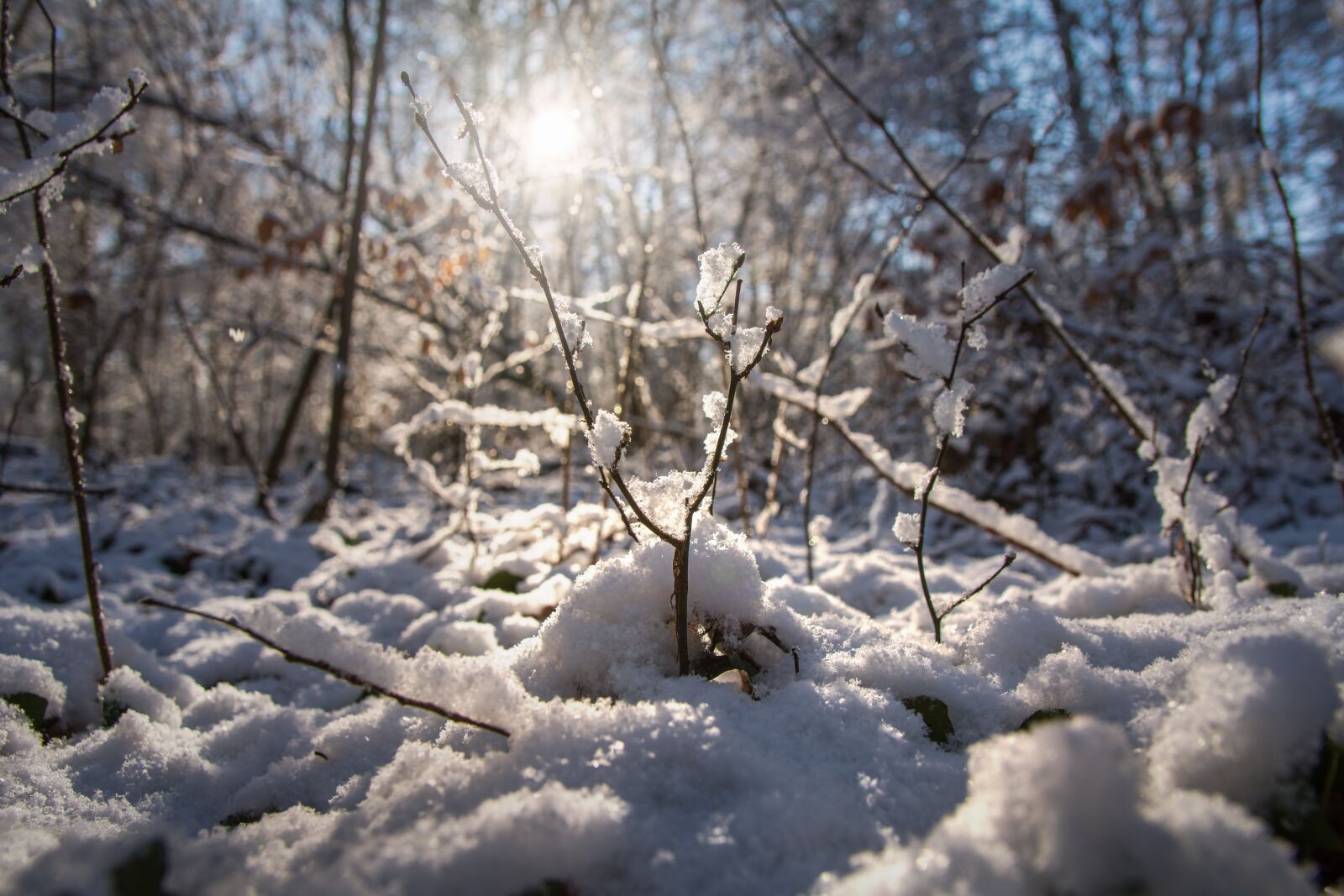 Nikon D7200 sample photo. Winter, snow, cold photography
