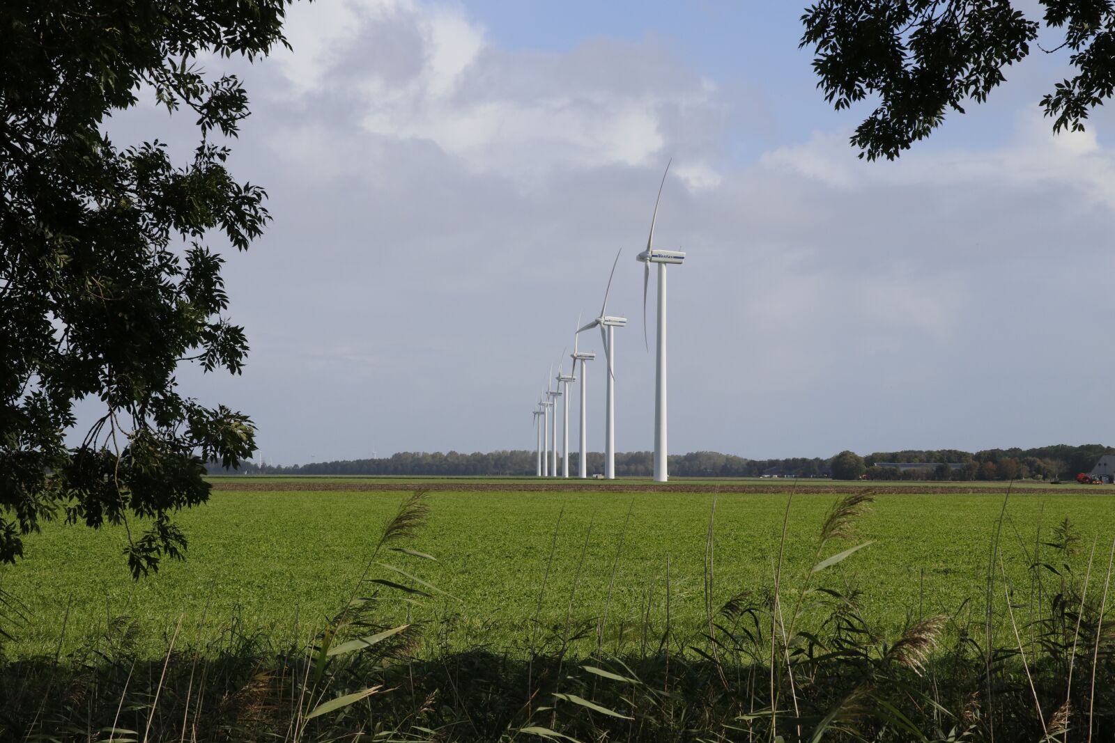 Canon EOS 80D sample photo. Windmills, polder, zeewolde photography