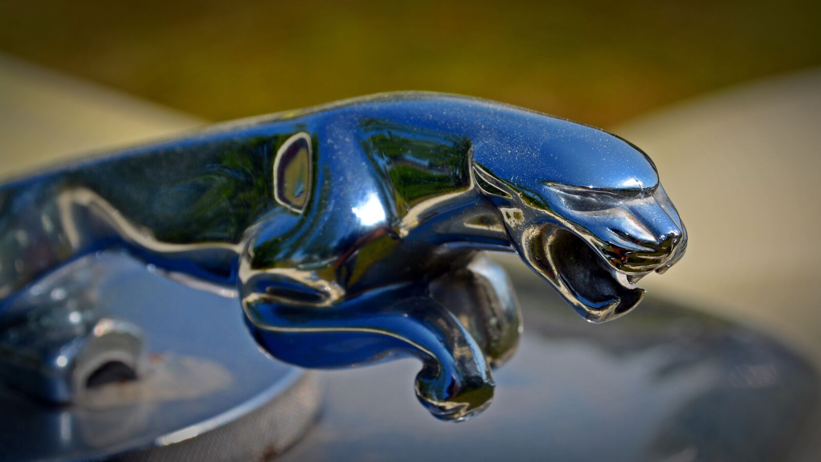 Nikon D5200 sample photo. Oldtimer, jaguar, cool figure photography