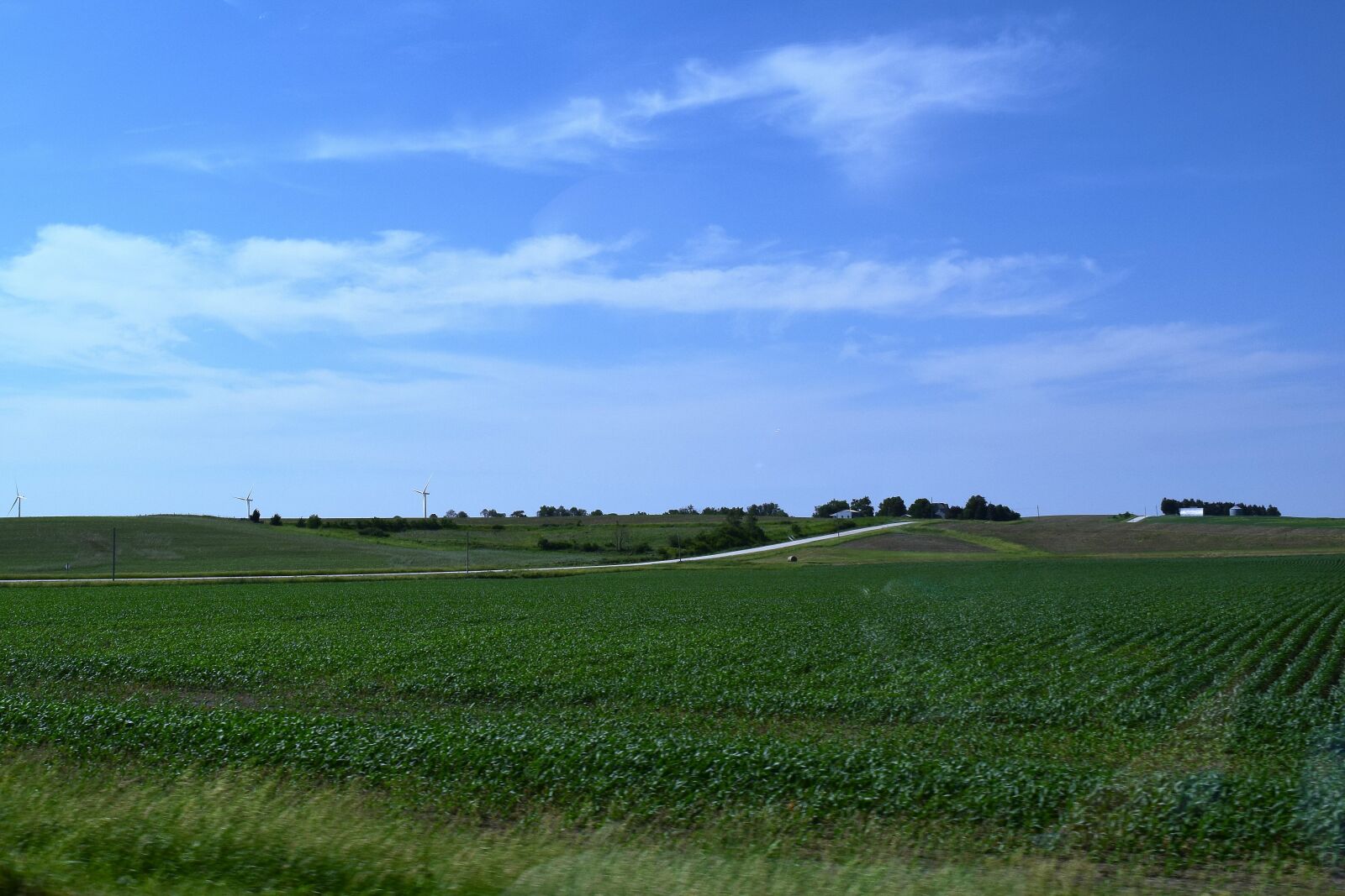 Nikon D3300 sample photo