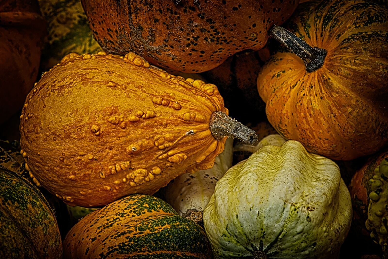 Nikon D7200 sample photo. Pumpkins, colorful, autumn photography