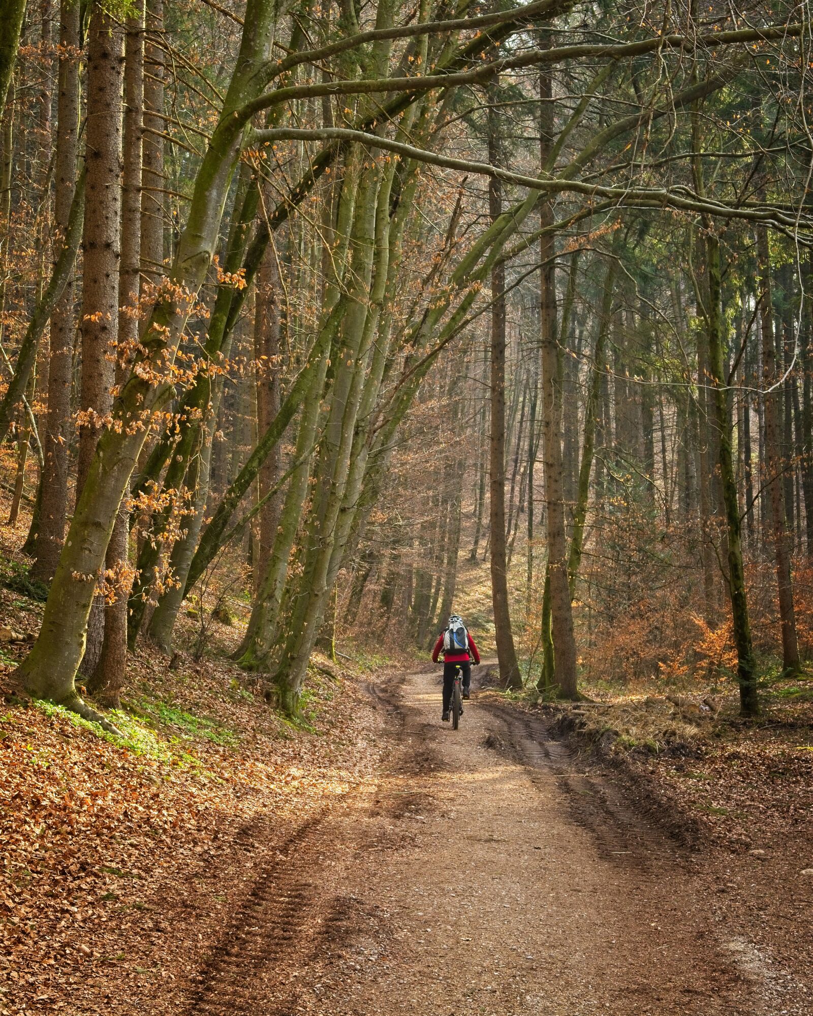 Nikon D7100 sample photo. Cycling, cyclists, person photography
