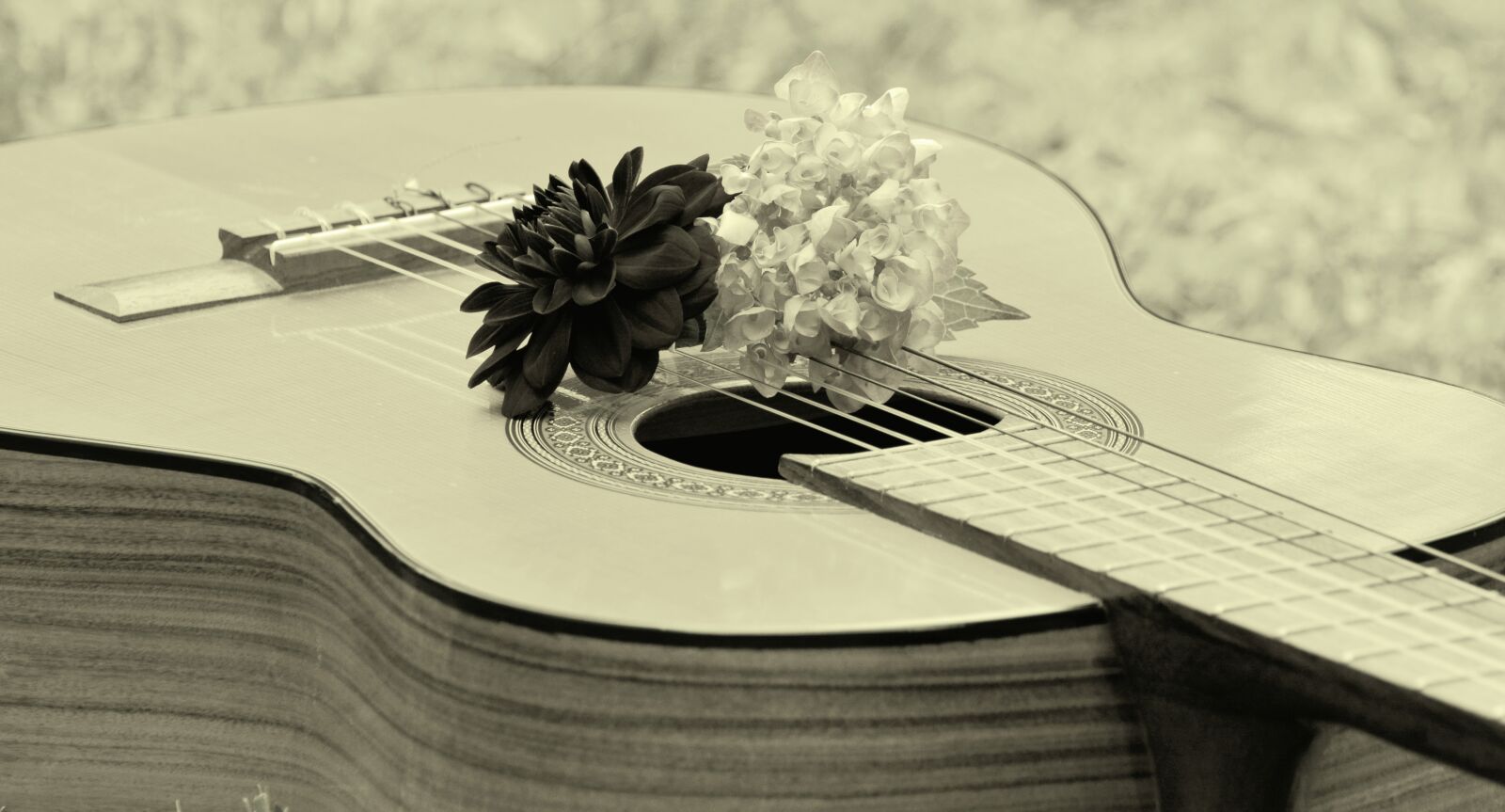 Nikon D5200 sample photo. Guitar, musical instrument, music photography