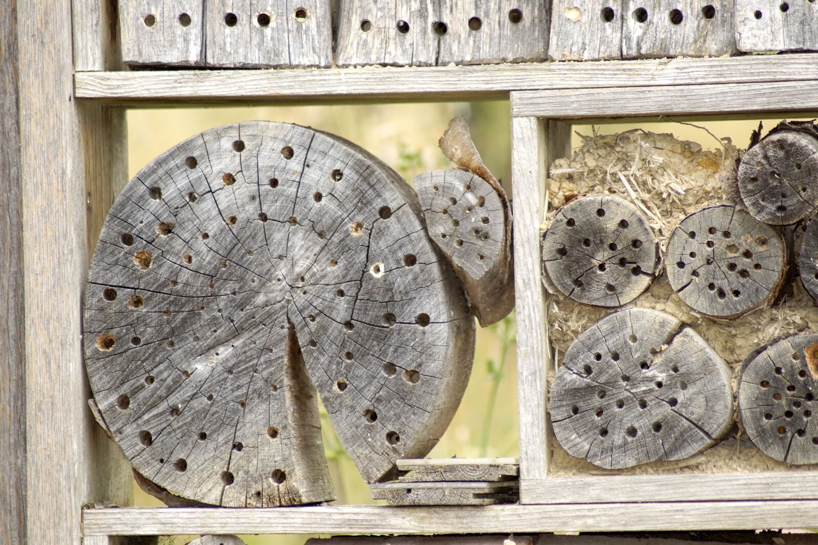 Sony SLT-A58 sample photo. Insect hotel, insect house photography