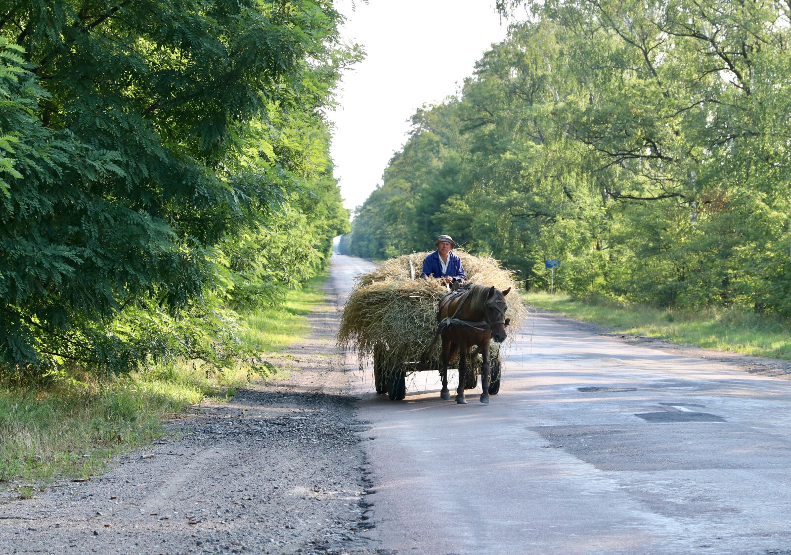 Canon EOS 80D + Canon EF 24-70mm F2.8L II USM sample photo. Wagon, road, hay photography