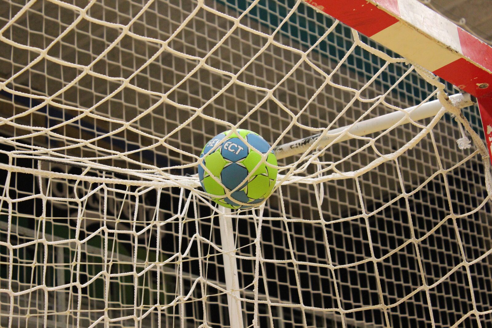 Canon EOS 600D (Rebel EOS T3i / EOS Kiss X5) sample photo. Ball, handball, training photography