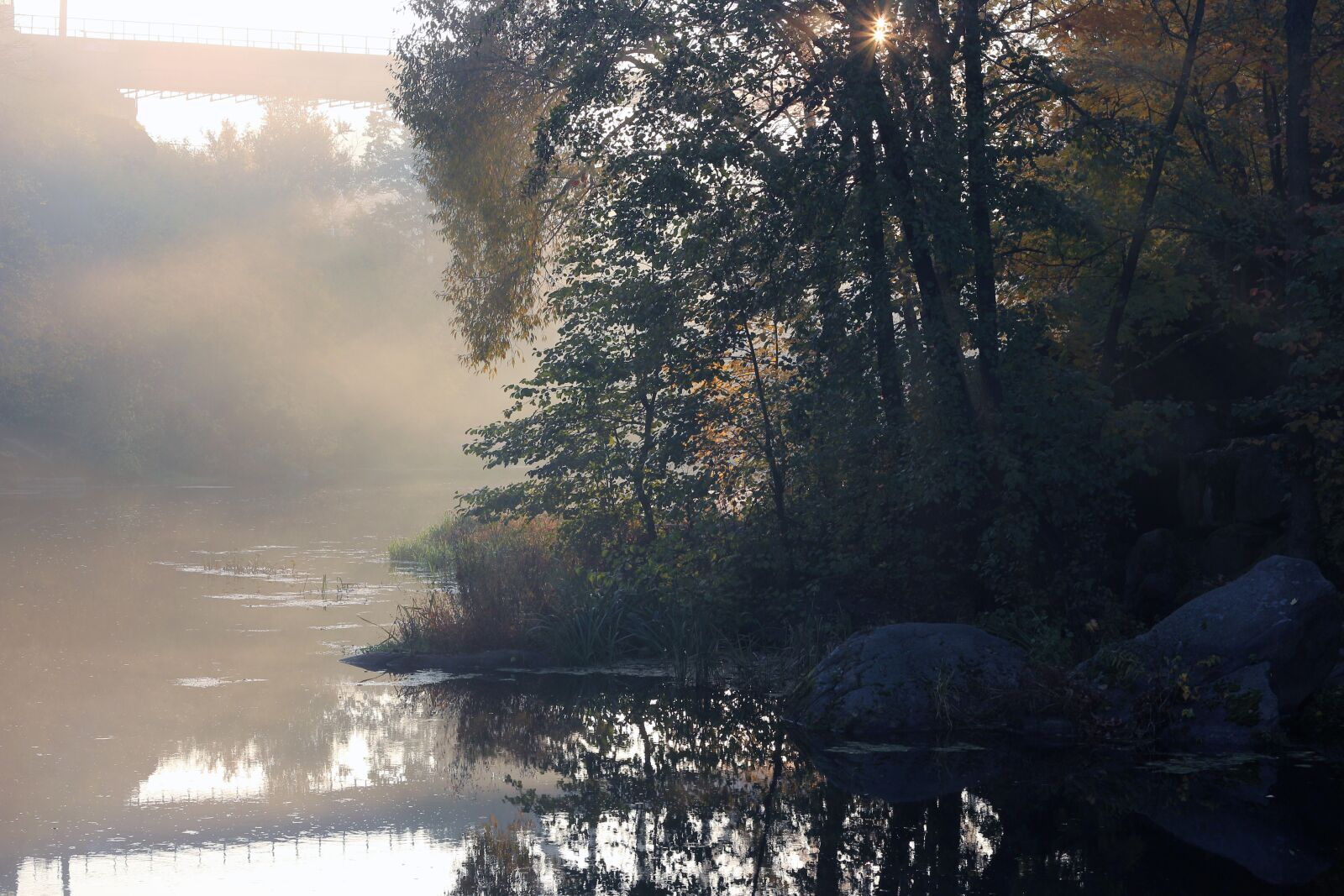 Canon EOS 700D (EOS Rebel T5i / EOS Kiss X7i) sample photo. Morning, sunrise, nature photography