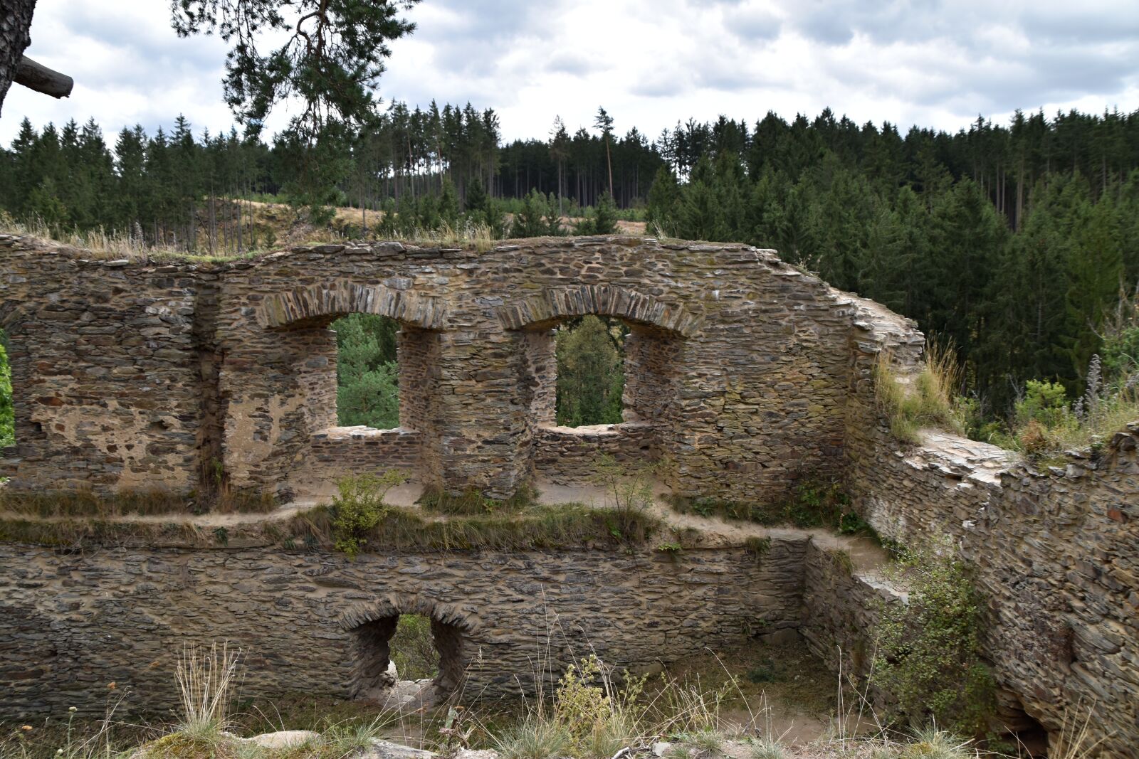 Nikon D3500 sample photo. Castle, rock, forest photography
