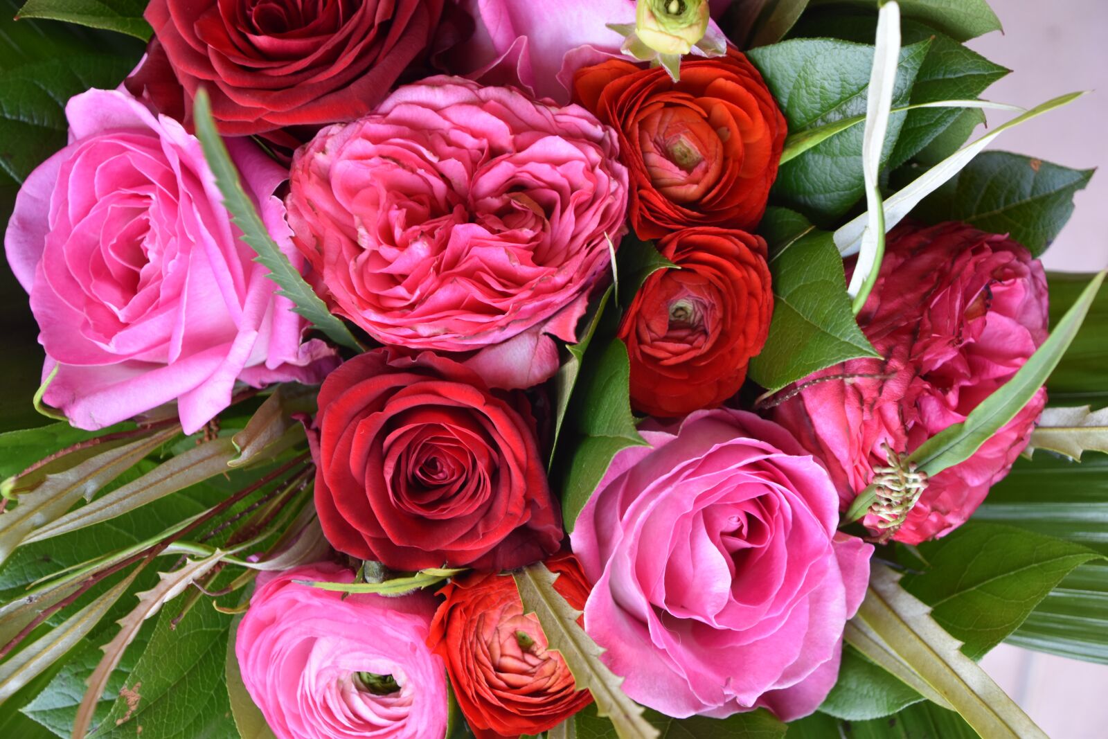 Nikon D5600 sample photo. Rosebush, flower, bouquet of photography