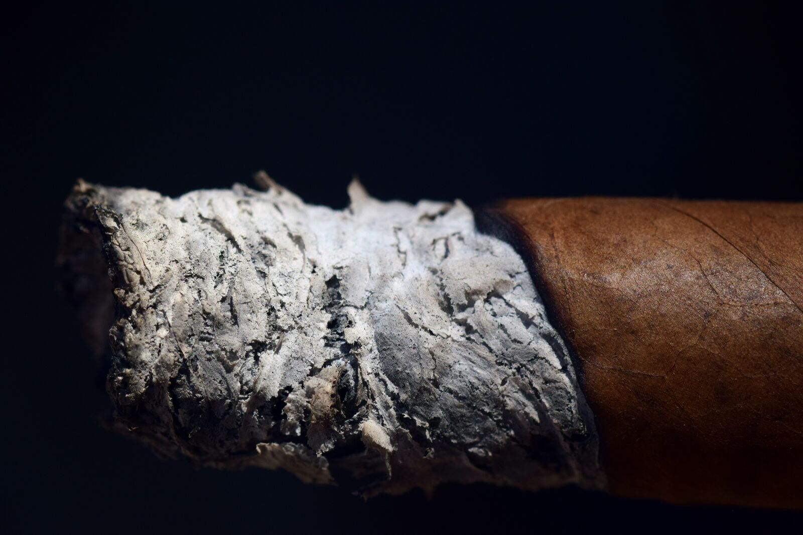 Nikon D3300 sample photo. Ash, cigar, smoking photography