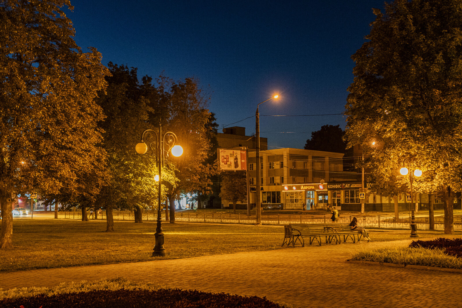 Sony a7 III + Sony FE 24-105mm F4 G OSS sample photo