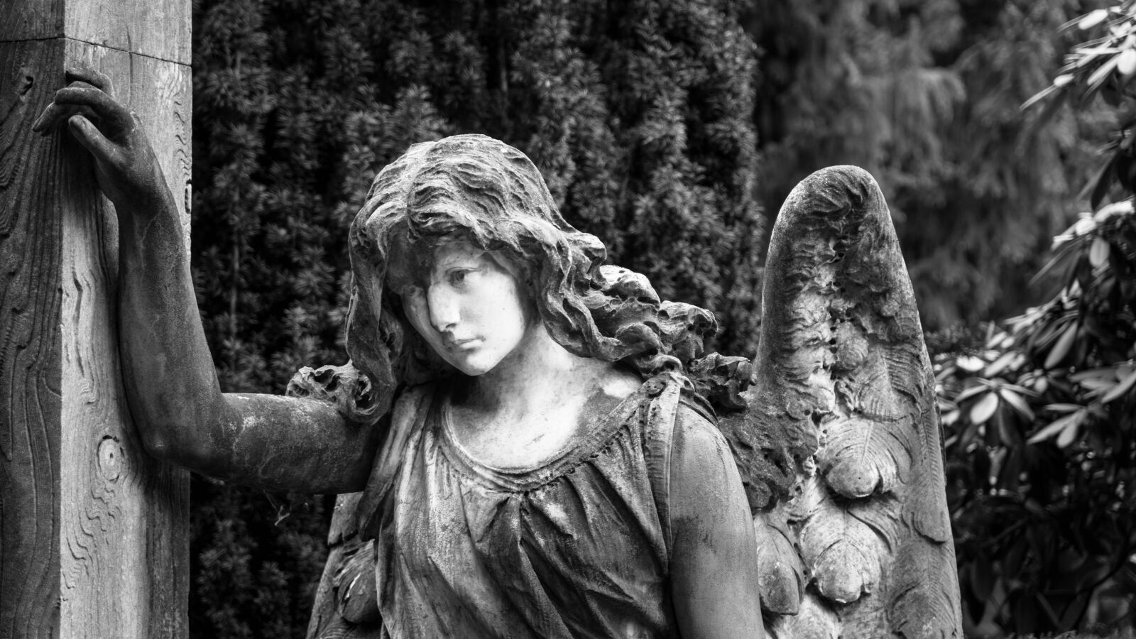 Sony a6500 + Sony Vario-Tessar T* E 16-70mm F4 ZA OSS sample photo. Angel, god, religion photography