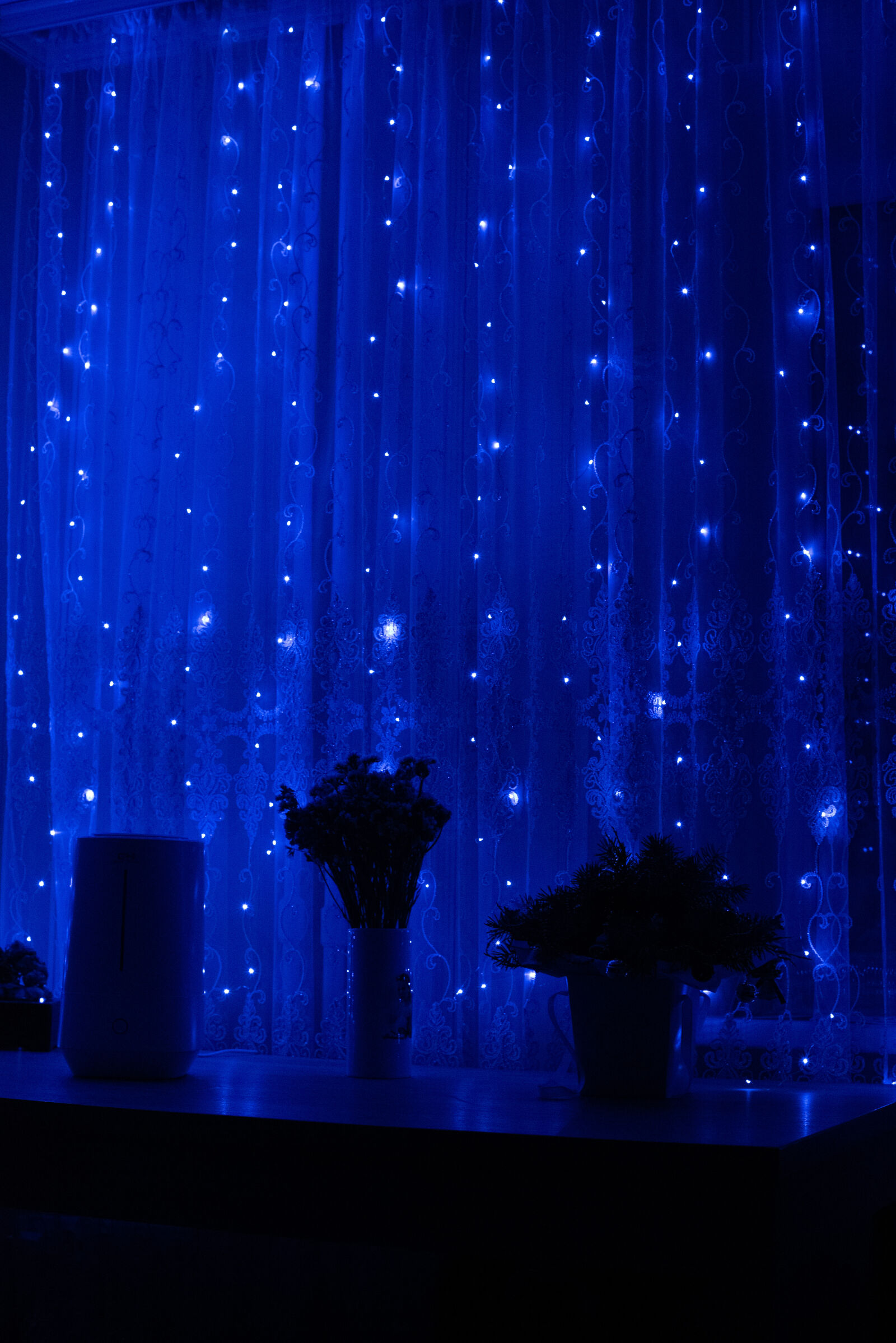 Nikon D750 sample photo