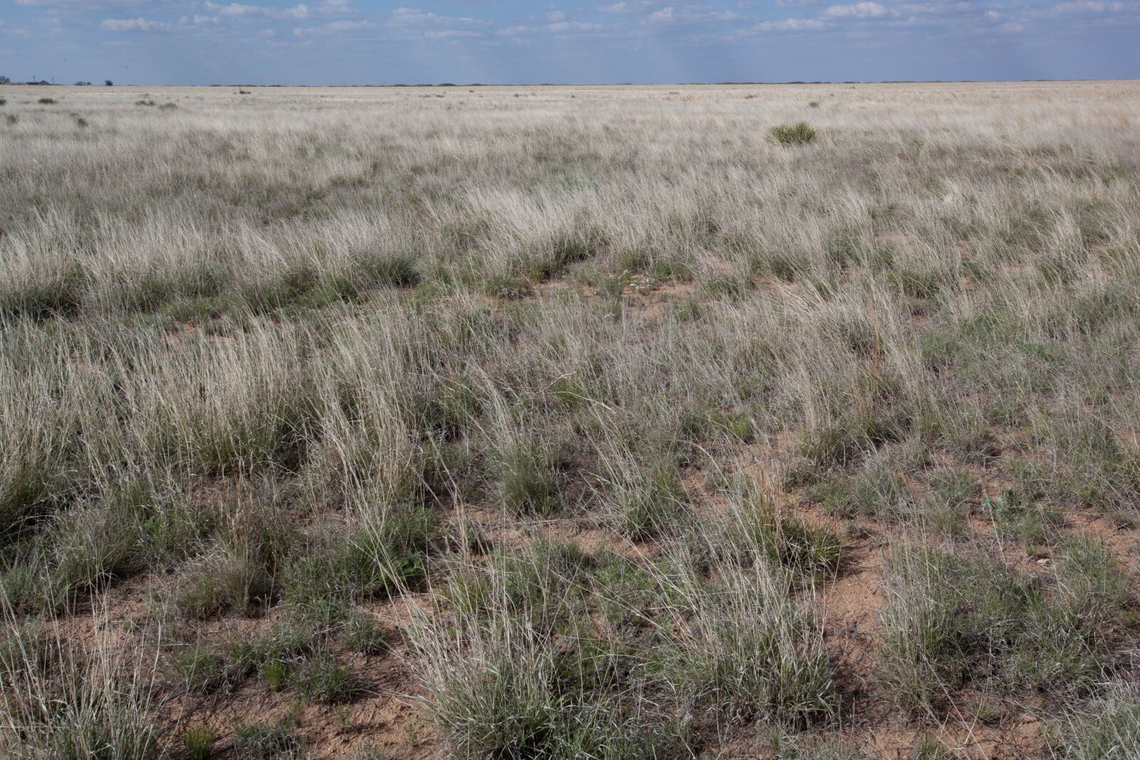 Canon EOS 5D Mark II sample photo. Scenic, prairie, nature, desert photography