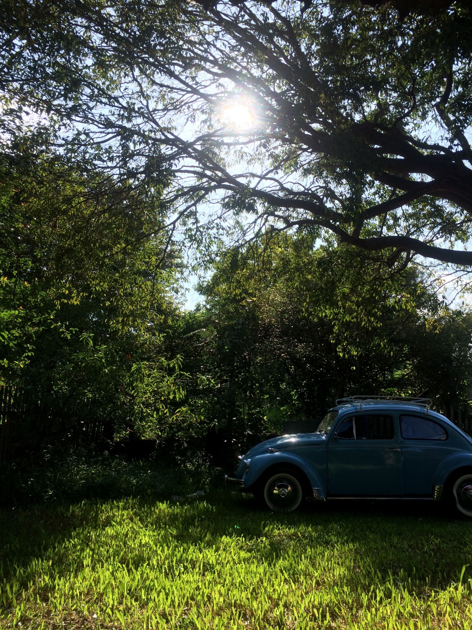 iPhone 5s back camera 4.15mm f/2.2 sample photo. Blue, car, classic, lights photography