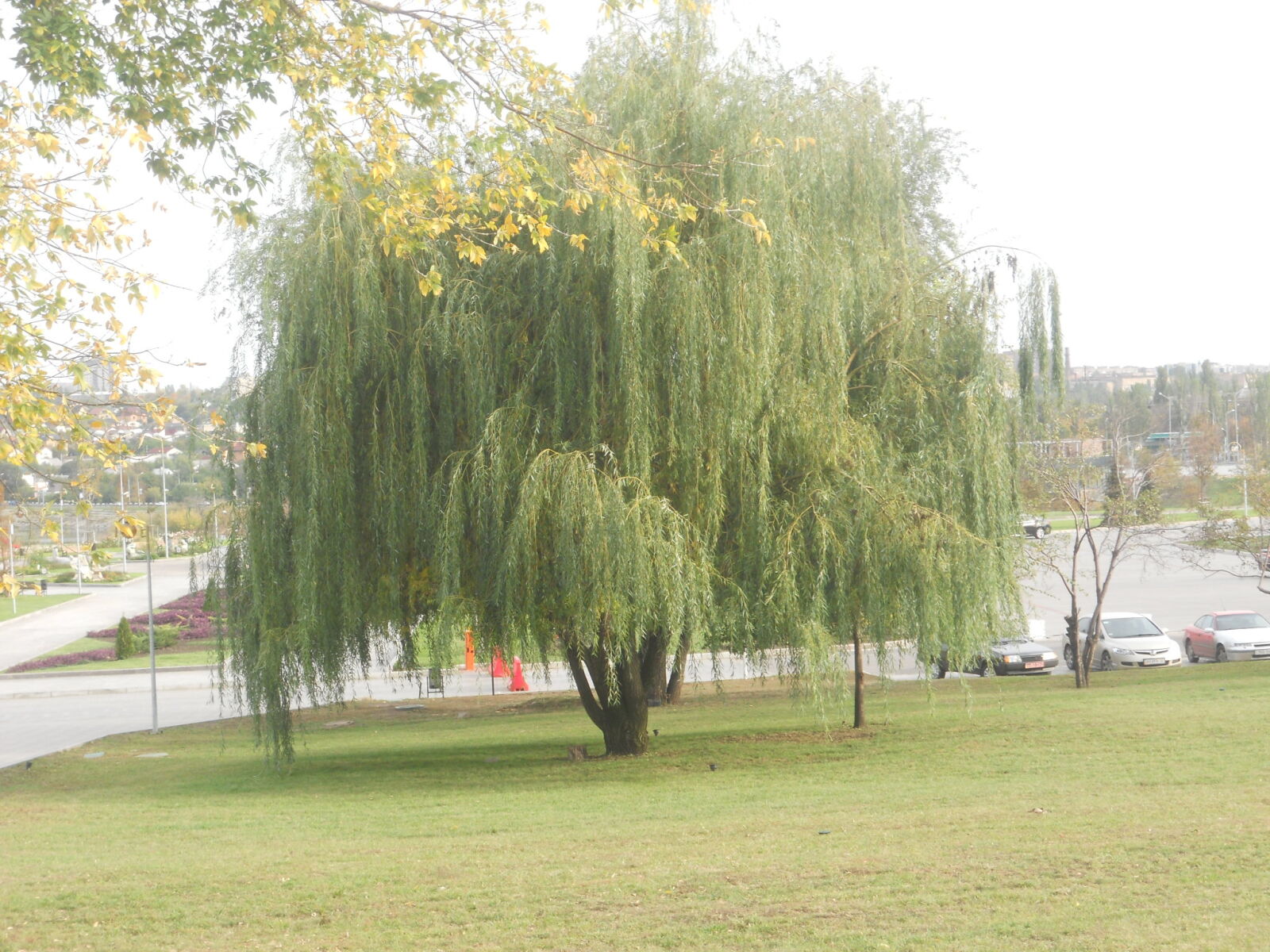 Nikon COOLPIX S2550 sample photo