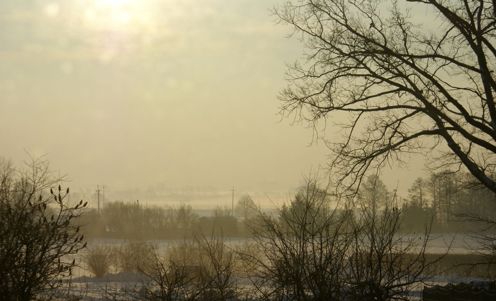 Sony Alpha DSLR-A100 sample photo. Winter, snow, the fog photography