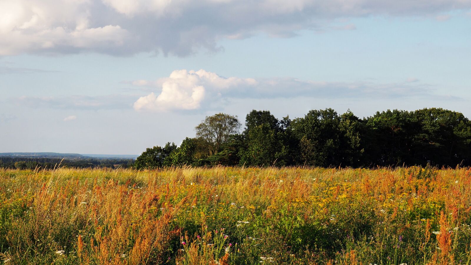 Olympus OM-D E-M10 II sample photo. Landscape, reported, sky photography
