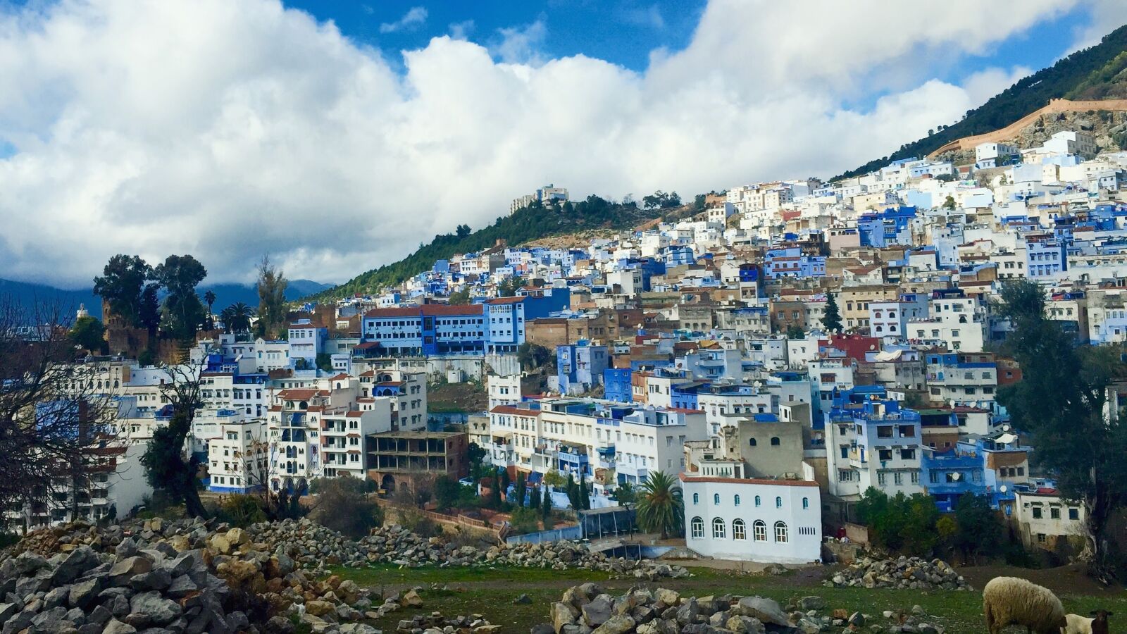 Apple iPhone 6 sample photo. Chefchaouen, morocco, blue city photography