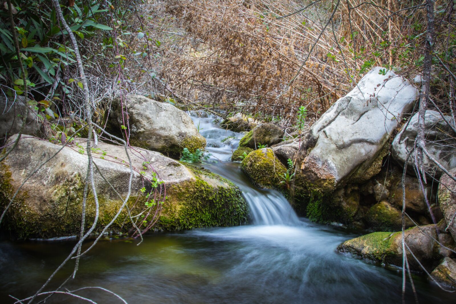 Canon EOS 60D + Canon EF 24-105mm F4L IS USM sample photo. Body of water, nature photography