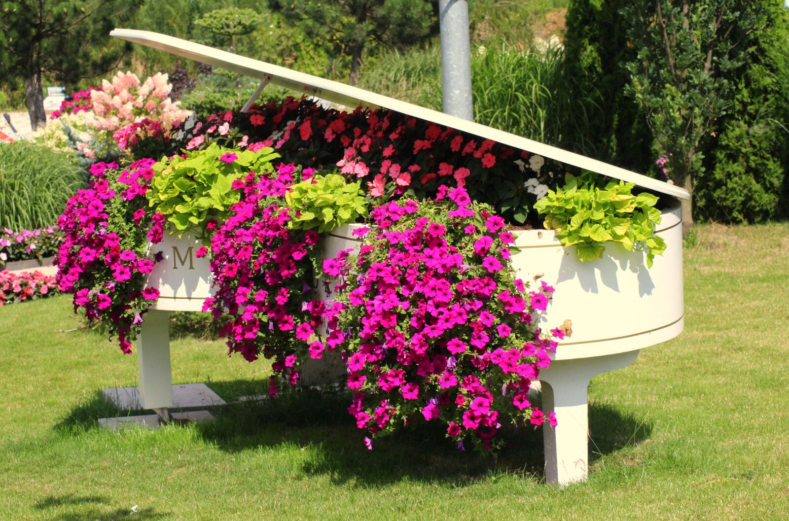Canon EOS 1200D (EOS Rebel T5 / EOS Kiss X70 / EOS Hi) sample photo. Flowers, petunia summer, decoration photography