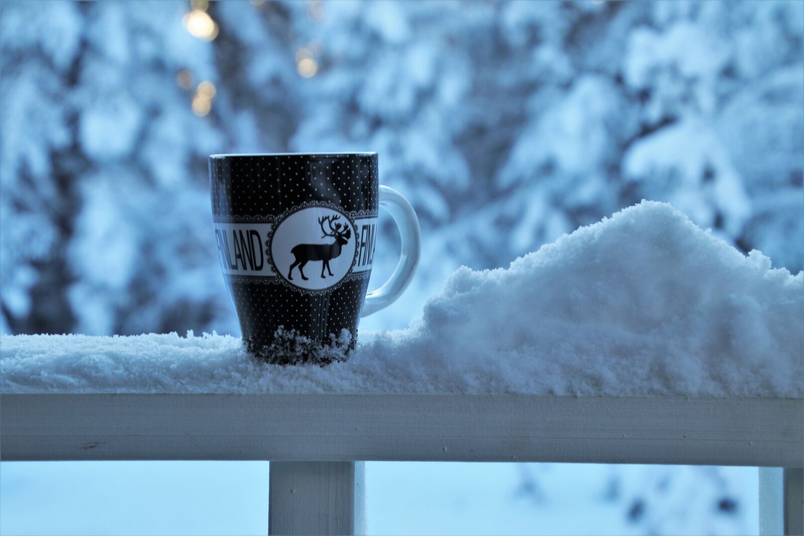 Canon EOS 80D sample photo. Snow, winter, drink photography