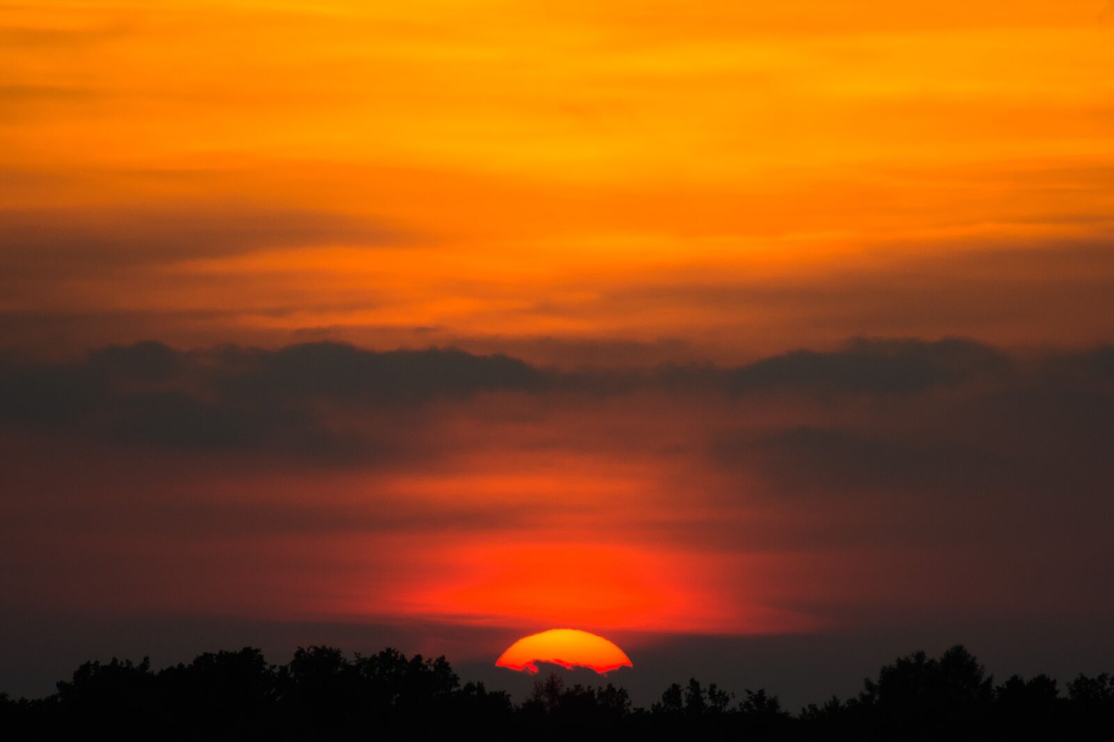 Nikon D7100 sample photo. Sunset, sky, summer photography