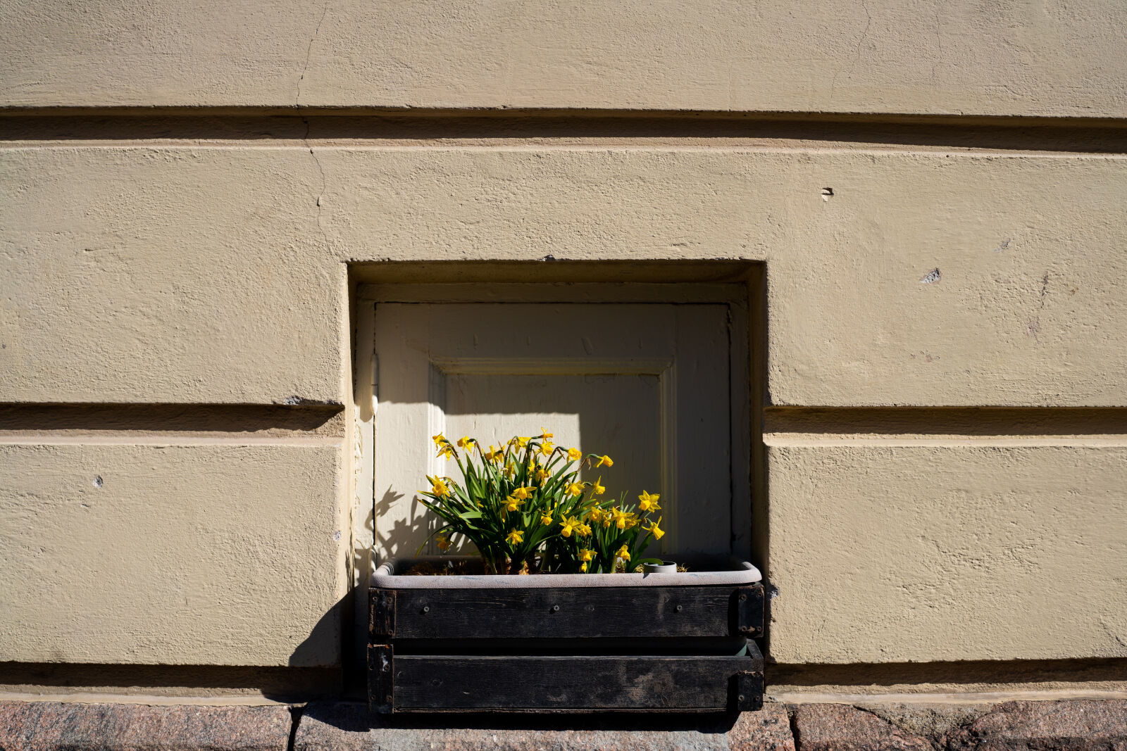 Sony a7R IV + Sony FE 40mm F2.5 G sample photo. Flowerbed wall recess photography