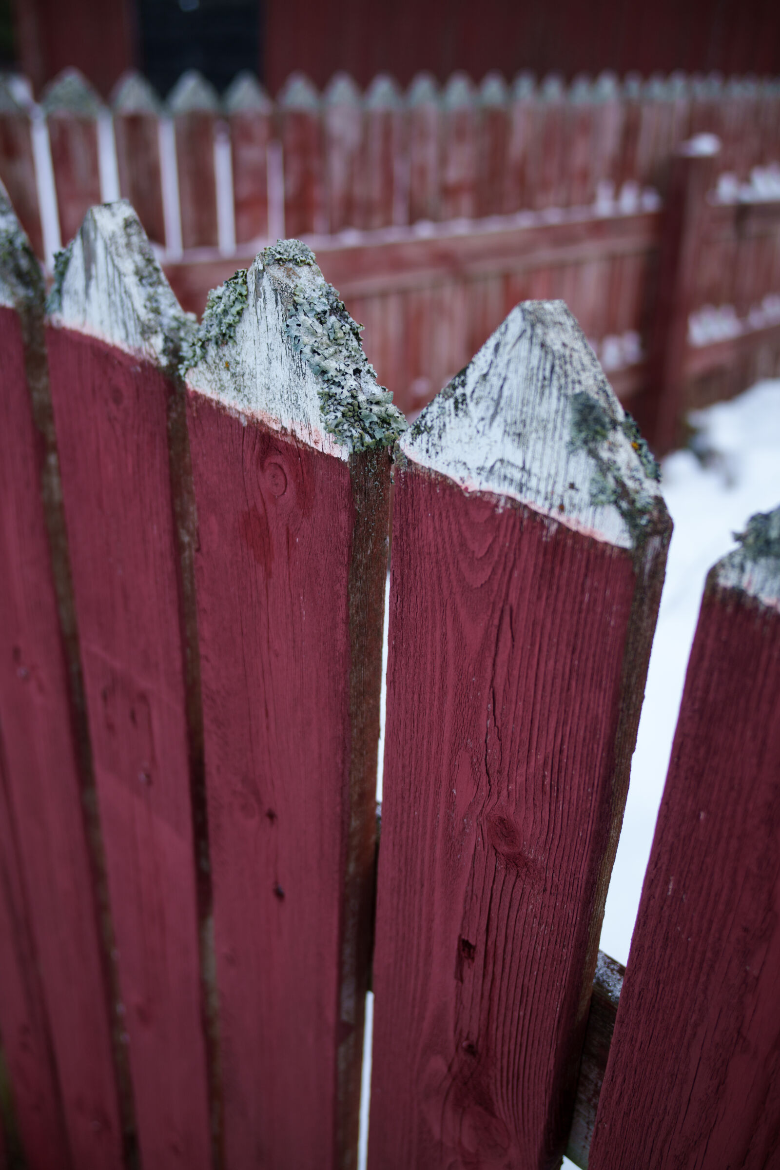 Samyang Remaster Slim 28mm F3.5 sample photo. Fence closeup photography