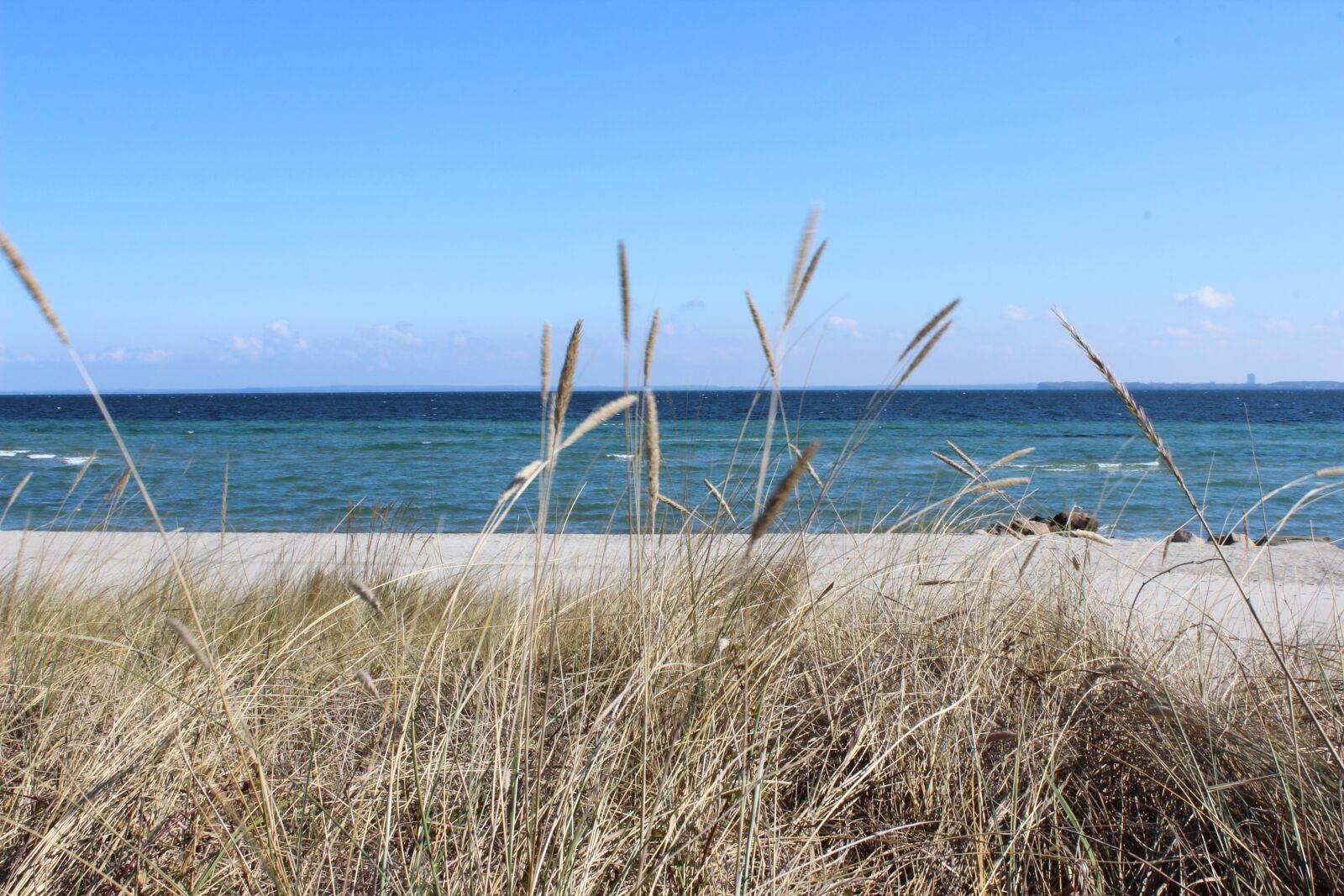 Canon EOS 600D (Rebel EOS T3i / EOS Kiss X5) sample photo. Beach, grass, sea photography