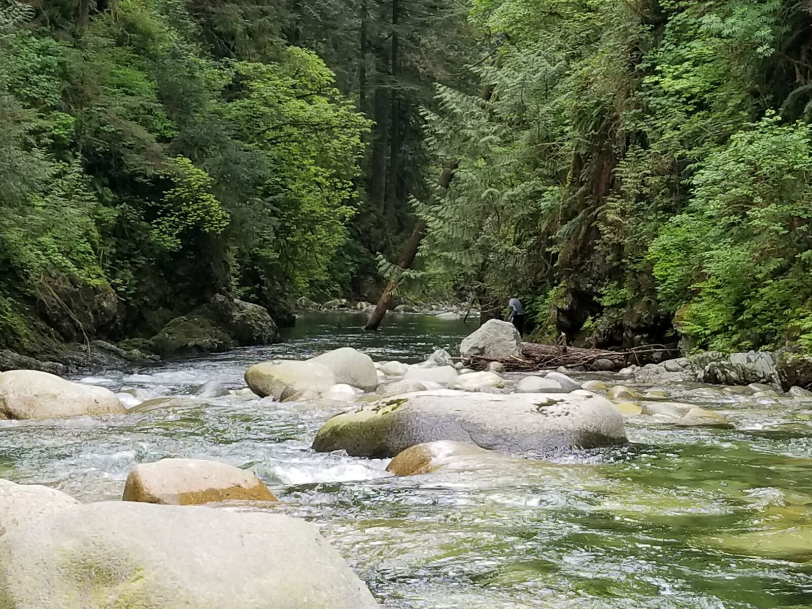 Samsung Galaxy S8+ sample photo. River, canada, horseshoe bay photography