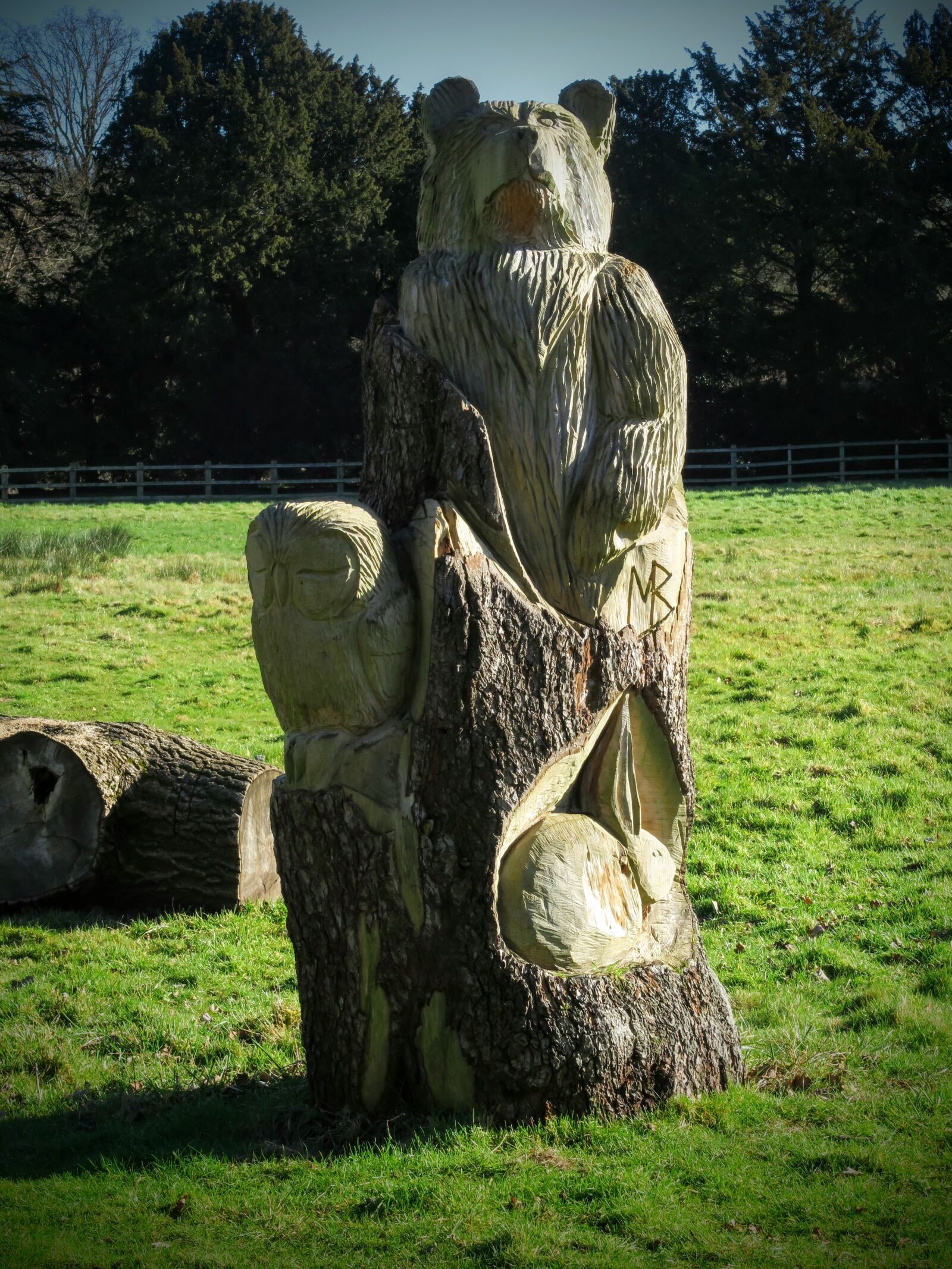 Canon PowerShot G7 X sample photo. Nature, tree, carving, wood photography
