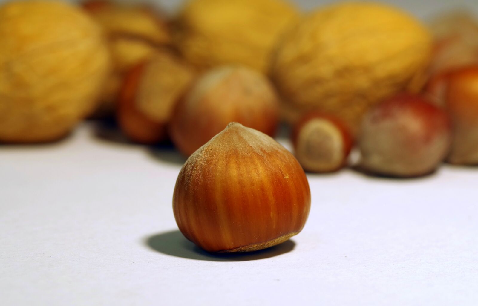 Pentax K-S2 sample photo. Walnut, italian, cane photography