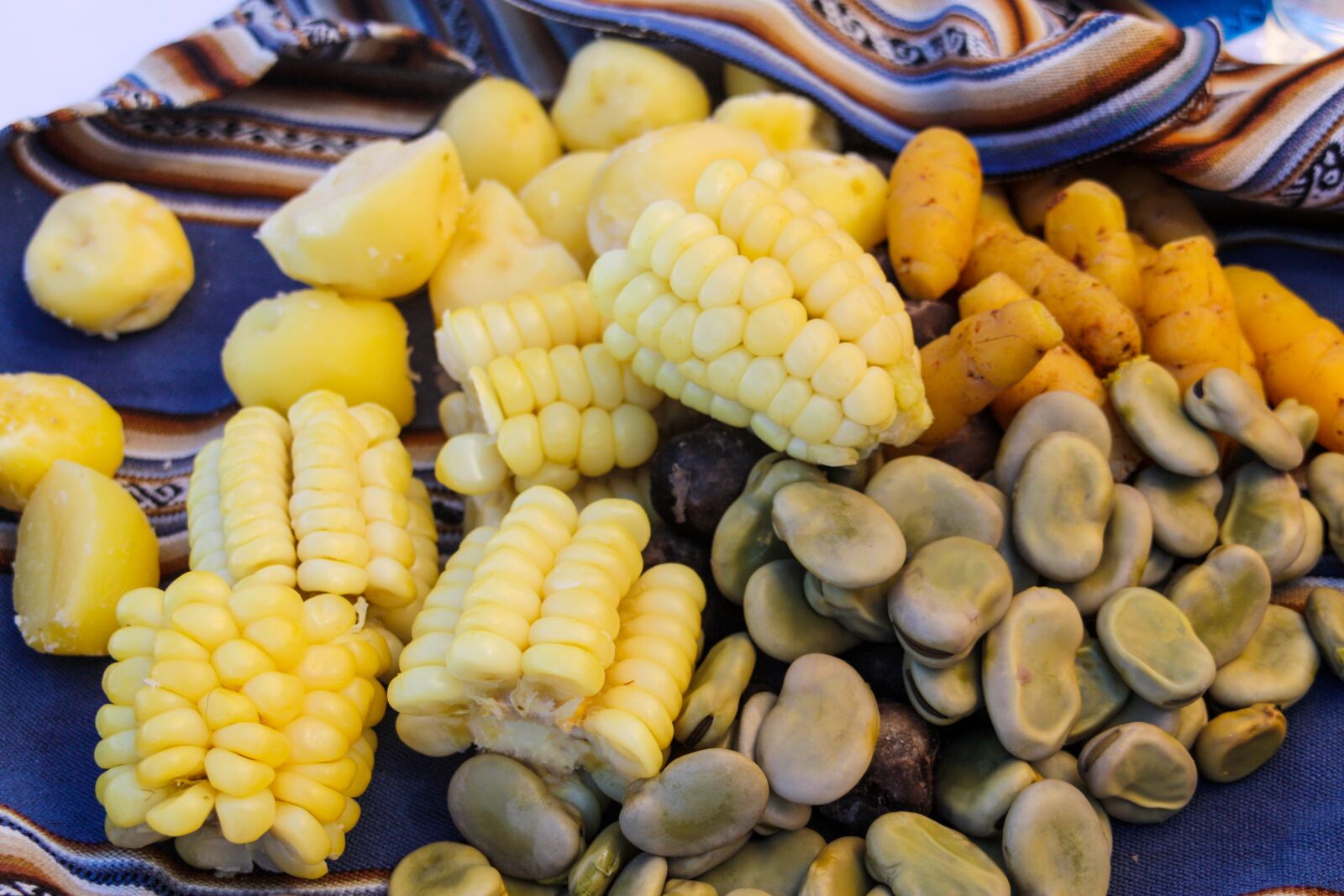 Canon EOS 450D (EOS Rebel XSi / EOS Kiss X2) sample photo. Corn on the cob photography