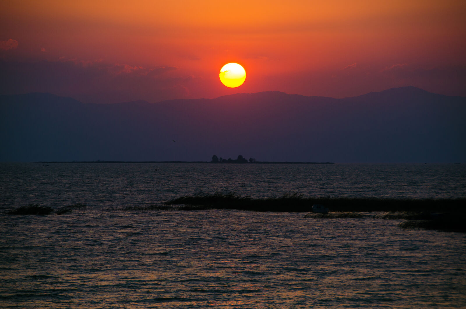 Nikon D5100 sample photo