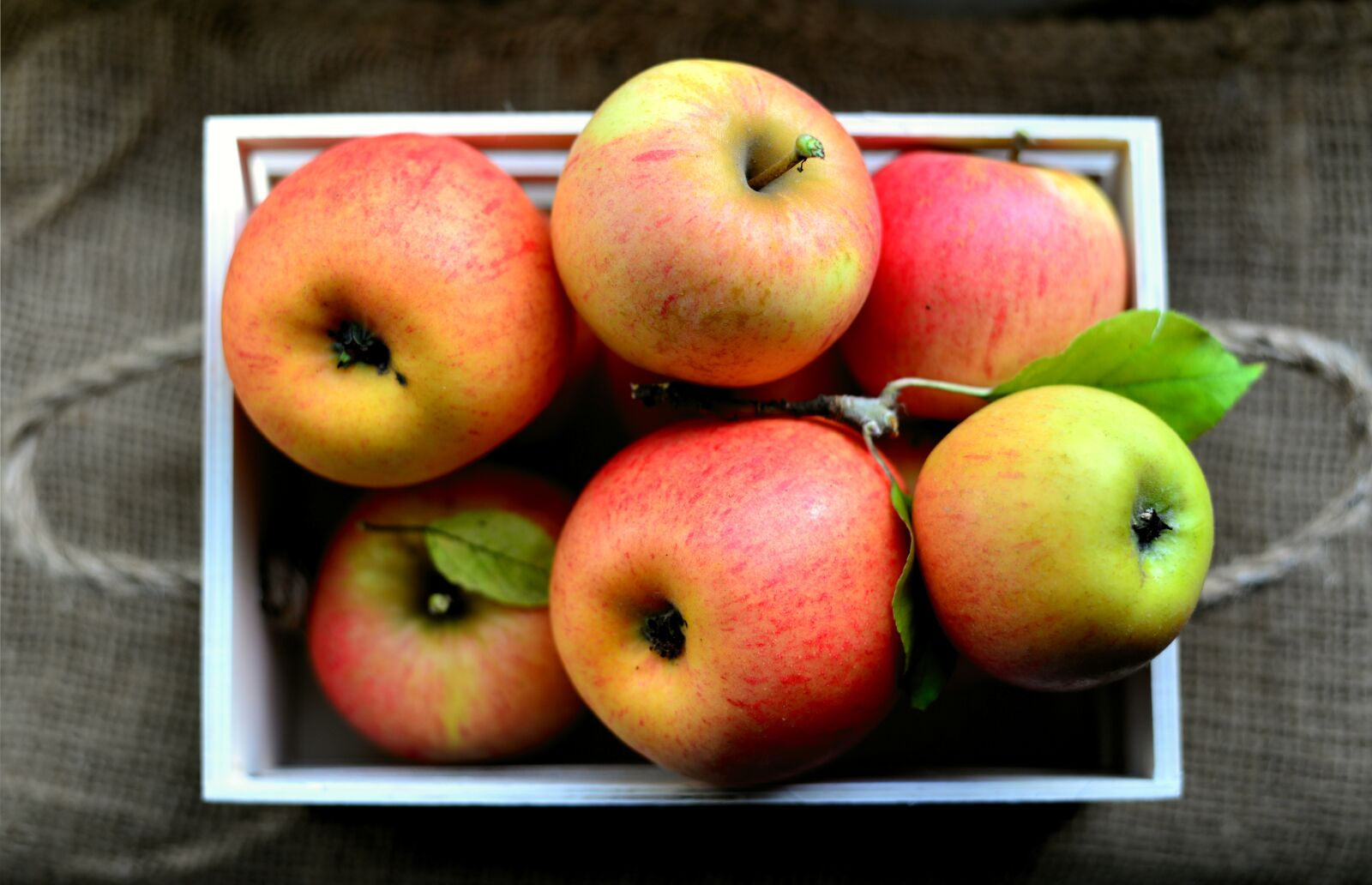 Nikon D610 sample photo. Apple, goldparmäne, healthy photography