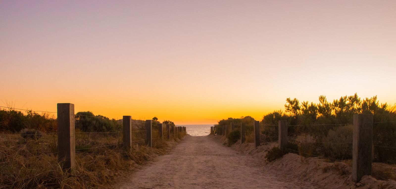 Nikon D5600 sample photo. Sunset, dawn, nature photography