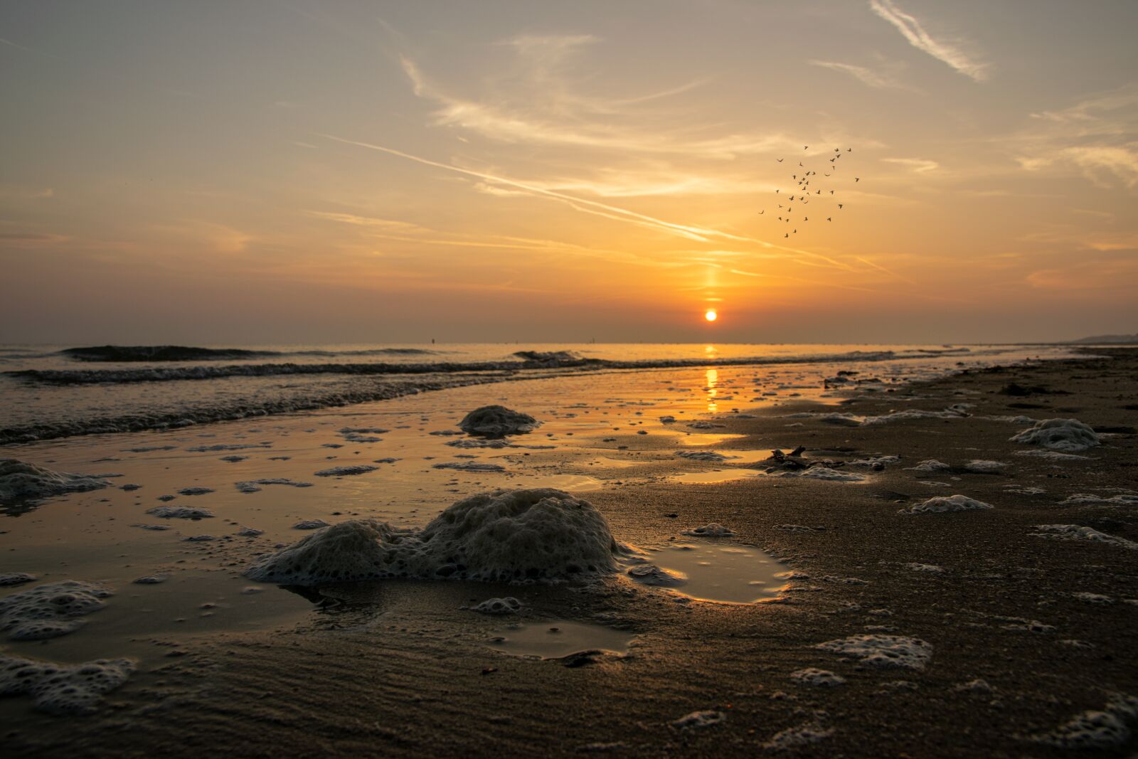Nikon D5300 sample photo. Foam algae, sea, coast photography