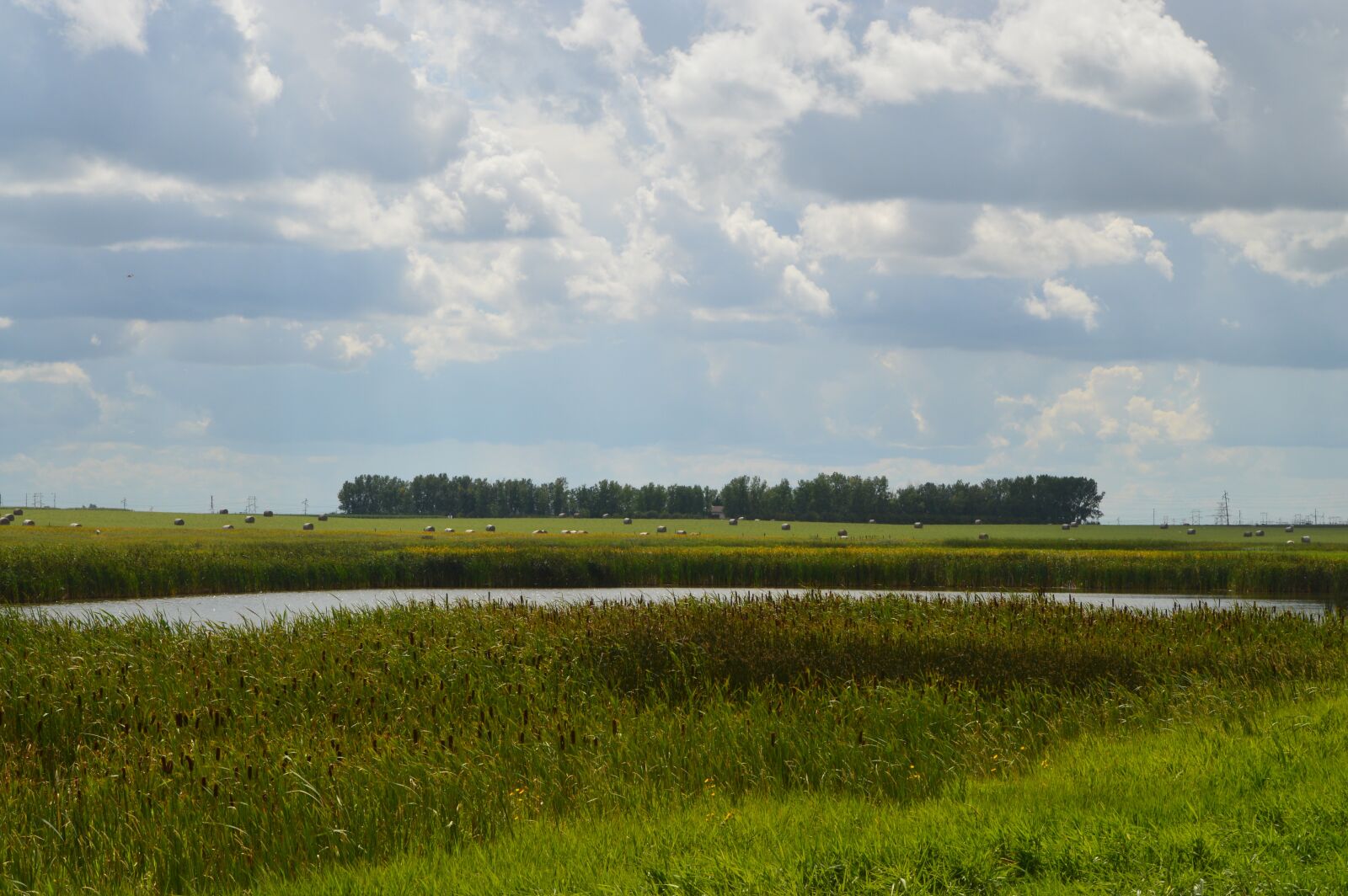 Nikon D3200 sample photo. Prairie, hay bales, sky photography