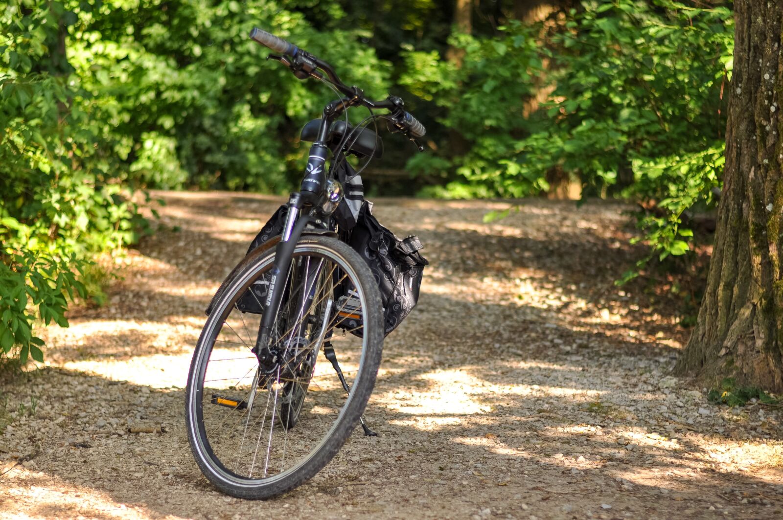 Nikon D90 sample photo. Bike, forest, trees photography