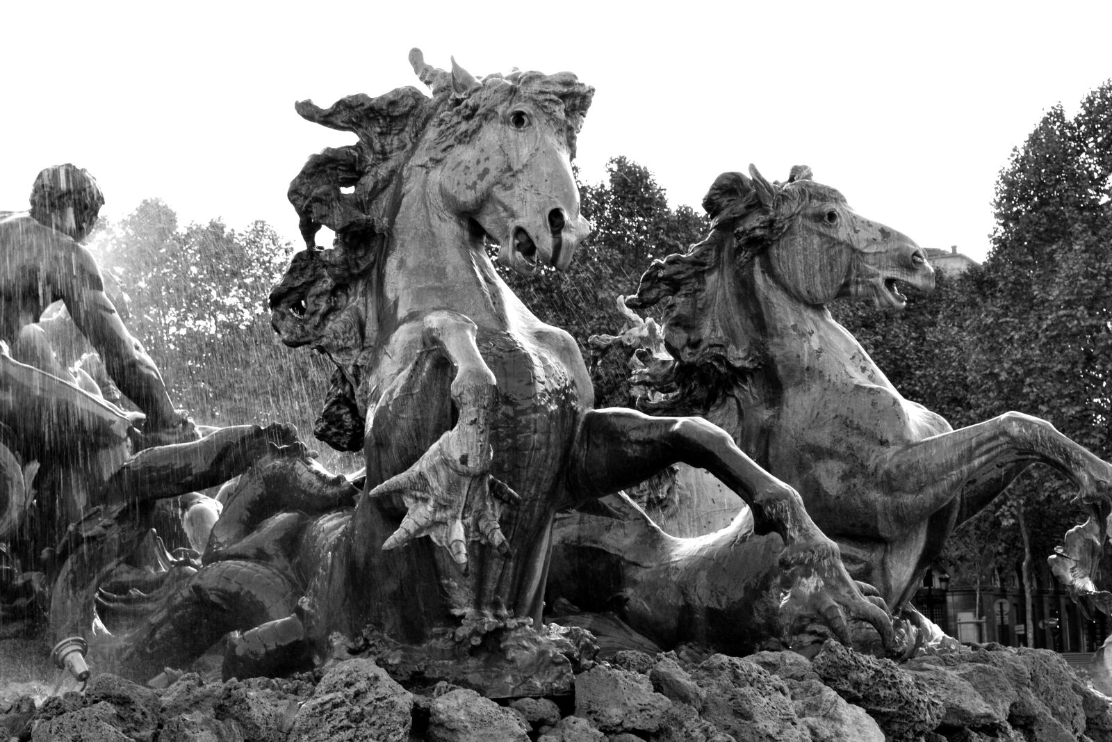 Nikon D3100 sample photo. Bordeaux, fountain, horses photography