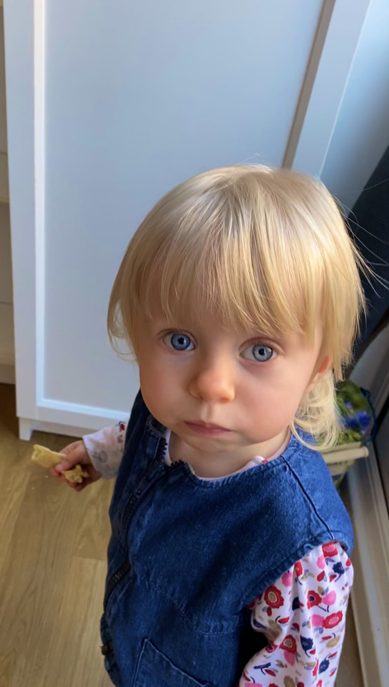 Apple iPhone 11 Pro sample photo. Toddler, blue, eyes photography